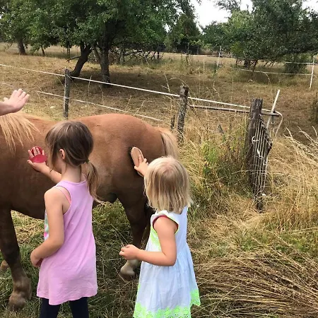 Le Bourdon Bleu A En Bassigny アパート Celles-en-Bassigny